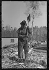 Photo:Lumberjack using a broadaxe at camp near Effie, Minnesota