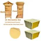 2 XMINi Beehive Box + 20X MINi Frames Auto Run Honey Frames Brood Wood Bee Frame