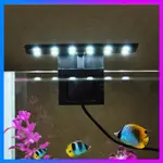 AC220V 5W 12 LED AQUARIUM LIGHT FISH JAR LAMP WHITE LIGHT PO