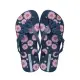 【IPANEMA】女鞋 LOLITA FLORAL 藍/藍/薔薇粉 型號：26528(巴西品牌、巴西拖鞋、人字拖、夾腳拖)