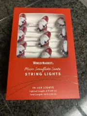 World Market Christmas Micro Snowflake Santa Skiing String LED Fairy Lights