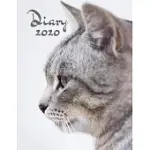 DIARY 2020: CAT LOVERS DIARY, WEEK TO VIEW ORGANISER: POCKET PAPERBACK NOTEBOOK STYLE WITH PRIORITIES & TO DO LIST PLANNER, GREY