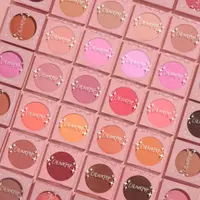 在飛比找蝦皮購物優惠-Colourpop 全新18色 腮紅高光修容 臉部修飾 自組