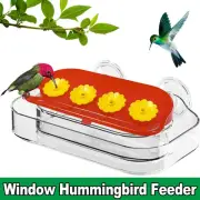 Window Hummingbird Feeder with Suction Cup 10oz Capacity & Ant Moat AU