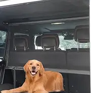 Compatible for Mercedes-Benz G-Class 1986-2018 Universal Pet Barrier | Heavy-Duty Backseat & Trunk Dog Fence | Adjustable Mesh Car Divider for W460 W461 W463 G500 G55 G63 G65 AMG Models (Black)