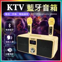 在飛比找蝦皮購物優惠-『行動KTV！消除人聲』 SD309 KTV藍牙音箱 雙人無