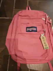 JANSPORT Big Student Backpack MAUVE HAZE NWT