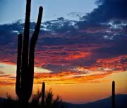 SUNRISE INTHE DESERT CACTUS CLOUDS COMPUTER MOUSE PAD 9 X 7