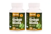 Jarrow Formulas Ginkgo Biloba 50:1 Gingkolides Antioxidant & Circulation Support - 2 Bottles (120 Veggie Caps Each)