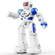Programmable RC Robot Toy – Walking & Dancing Smart Robot for Kids