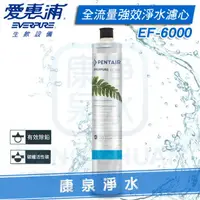 在飛比找樂天市場購物網優惠-◤免運費◢ EVERPURE 台灣愛惠浦全流量強效碳纖維系列