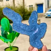 70G Natural Blue Coral Reef Cluster Marine Mineral Crystal Specimen