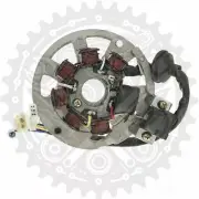 101 Octane Stator Fits Sachs SX-1 50