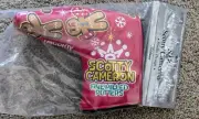 Scotty Cameron 2024 Christmas Gingerbread Man Blade Putter Headcover IN HAND!
