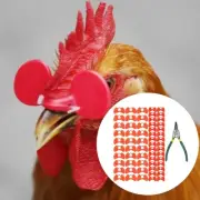 60x Pinless Peepers for Chickens Spectacles with Pliers Farm Equipment Pheasants
