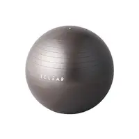 在飛比找蝦皮商城優惠-ELECOM Eclear瑜珈抗力球/ 55cm eslit