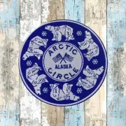 Arctic Circle Patch Embroidered Iron-on Applique Alaska Nature Badge Polar Bear