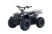 Apollo RFZ Commander 1000W Electric Quad Bike - Black