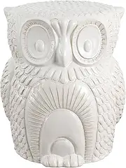 JONATHAN Y TBL1035A Millie 17.5" Classic Vintage Ceramic Indoor/Outdoor Owl Garden Stool, Bohemian, Coastal, Cottage, French Country, Traditional, Spill-Proof, Living Room, Garden Room, Patio, White