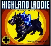 Highland Laddie Scottish Terrier Puppy Dog Orange Citrus Fruit Crate Label Print