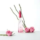 Issey Miyake - L’Eau D’Issey ROSE & ROSE EDP INTENSE 50mL NEW Fragrance Perfume