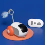 Turbo Tail 2.0 Cat Toy, Interactive Cat Toy with Remote Control, Automatic Touch