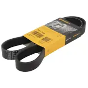 7 Rib Multi V Drive Belt For Nissan Note Micra CONTITECH 7PK1165 117201HC1A