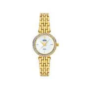 Elite Ladies Aurora Watch in Gold