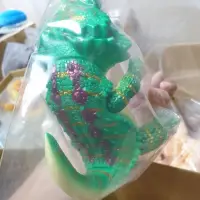 在飛比找蝦皮購物優惠-painter net 鬆獅蜥 限量 限定 亮綠色 日本 設