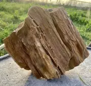 FREESTANDING* 18# Petrified Fossil Wood-Agate & Chalcedony-Druzy-Amazing Detail
