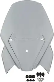 Windscreen Windshield Wind Deflector Shield Screen Visor Glass with Screws Compatible with BMW F900R F 900 R 2020 2021(Light Smoke)