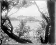 Queensland PNG Bay and peninsula viewed through trees Pearls and s - Old Photo