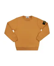 Stone Island Junior Compass-Motif Crewneck Sweatshirt 8Y,14Y,10Y scorched brown