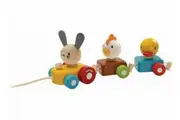 Plan Toys Animal Train Sorter