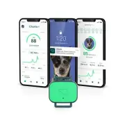 Whistle Health Smart Device | Dog Health and Fitness Tracker | Track Scratchi...