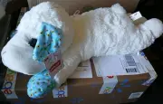 NEW Multipet Jumbo Spring Bee Lamb Chop with Blue Ears & Paws Plush Squeaker 24"