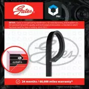 3 Rib Multi V Drive Belt fits FIAT PUNTO 176 GT 1.4 93 to 95 176A4.000 Gates New