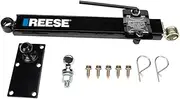Pro Series 83660 Value Friction Sway Control