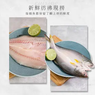 【巧食家】台灣午仔魚 201g-250g 三去處理 真空包裝