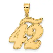 14k Yellow Gold Brushed Border Script Number 42 Pendant