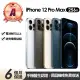 【Apple】A級福利品 iPhone 12 Pro Max 256G 6.7吋(贈充電組+玻璃貼+保護殼)