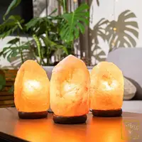 在飛比找momo購物網優惠-【吉祥水晶】喜馬拉雅玫瑰鹽燈 3~5kg(開運水晶鹽燈)