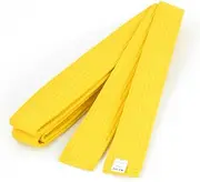 Ruilogod Karate TaeKwonDo Judo Yellow Flexible Belt 255cm Long