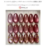 DINO NAIL SHOP IRO GEL MG 系列凝膠 VOL 3 GR 天鵝絨磁鐵凝膠絲滑鎂凝膠