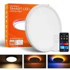 Smart LED Ceiling Light Wifi,12inch RGB Flush Mount Lighting Fixture with Rem...