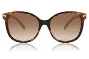 Prada PR 22ZS 07R0A6 Women Sunglasses