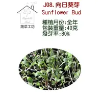 在飛比找momo購物網優惠-【蔬菜工坊】J08.向日葵芽種子(芽菜種子)