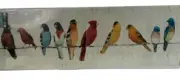 Poster THE USUAL SUSPECTS - BIRDS by Avery Tillmon Frame/Decoupage 11.75X36 In