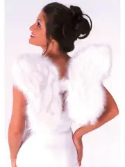 Rubie's - Feather Wings- White