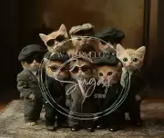 Cat Gangsters Art Computer Mouse Pad Cat Lover Owner Gift Kittens
